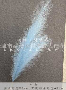 仿真蔡国强新年芦苇假羽毛粉黛潘帕斯草婚庆小红书同款烟花装置