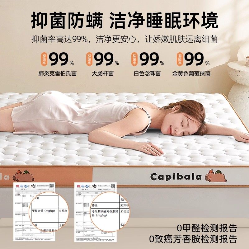亚朵素翼乳胶记忆棉床垫软垫家用卧室租房专用榻榻米宿舍学生单人,淘宝优惠券,粉丝福利购,淘宝优惠卷