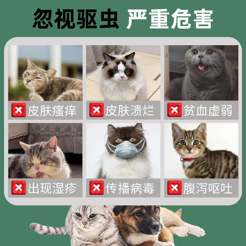 狗狗猫咪驱虫药体内外一体宠物幼猫跳蚤犬虱螨虫蜱虫非泼罗尼滴剂