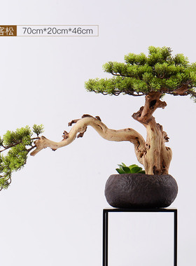 新中式仿真迎客松会所售楼处茶室茶楼装饰品日式枯树盆景摆件