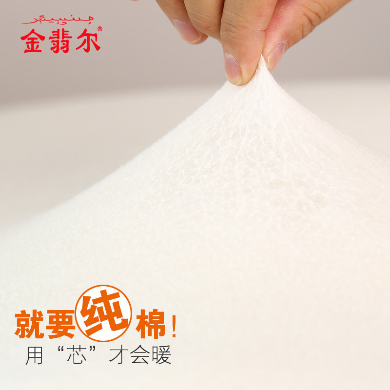 棉被春秋棉花被子单双人褥子轻儿童被芯学生加厚保暖冬被棉絮,淘宝优惠券,粉丝福利购,淘宝优惠卷