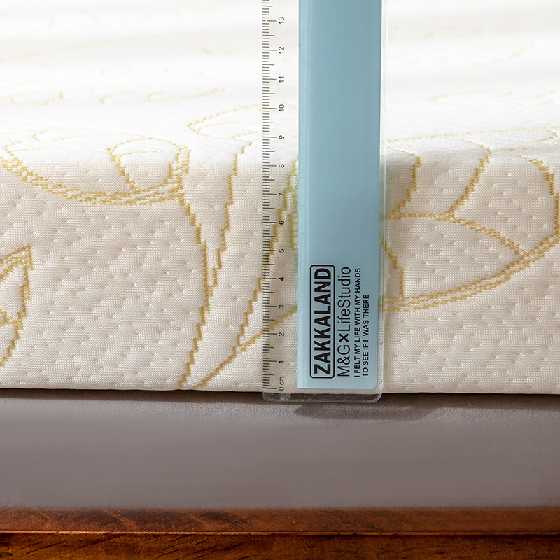 新款海绵不变形超高密度加厚床垫单双人宾馆民宿家用软垫子,淘宝优惠券,粉丝福利购,淘宝优惠卷