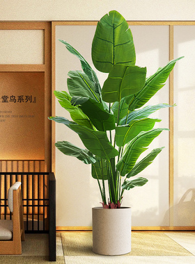 仿真绿大植物艺物落地假盆栽客厅仿生花植摆件色型室内树旅人蕉