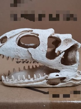 鱼缸水族箱造景装饰爬件造景水龙树脂头骨摆虫躲避恐族馆装饰