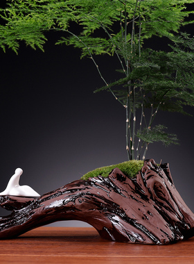 创意文竹盆栽客厅玄关装饰摆件家居饰品桌面微景观