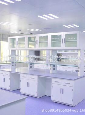 钢木实验台实验室全钢边台中央工作台学校科学化验室实验桌耐酸