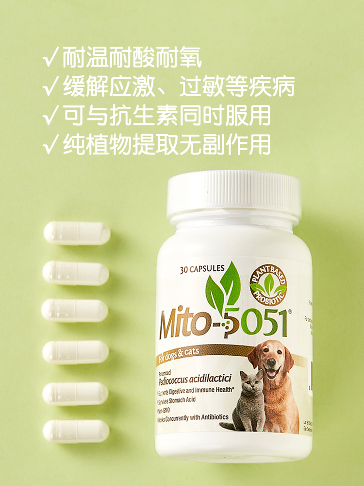 美国Mito5051乳酸片球菌宠物软便拉稀舒缓应激调理肠胃猫狗益生菌 - 图3