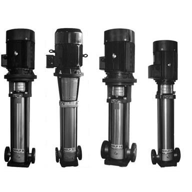 CDL65-20-2FSWPR型立式多级热水泵,380V - 图0