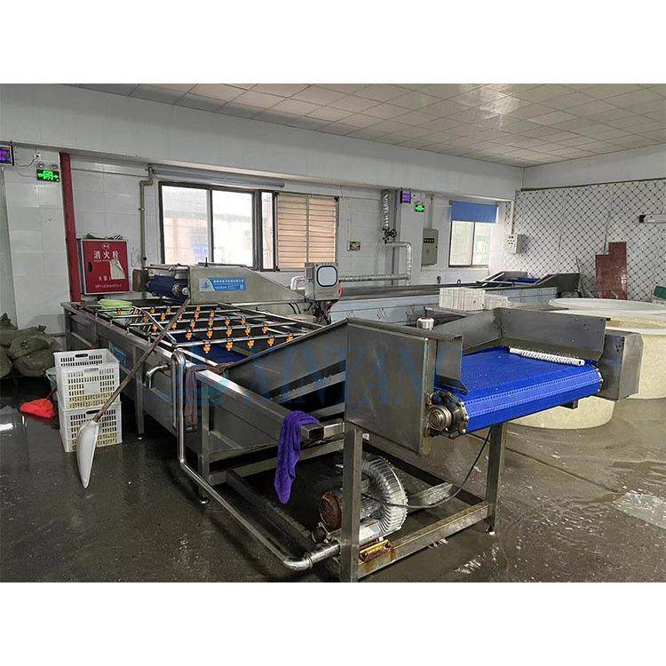 玉米蒸煮漂烫线酵素巴氏杀菌机魔芋爽预制菜巴氏杀菌冷却风干线,淘宝优惠券,粉丝福利购,淘宝优惠卷