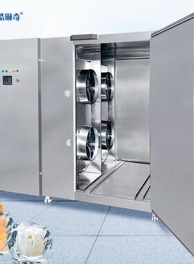 沿速海开589海鱼类加工场急鲜速双门2300速冻机-45度冻柜