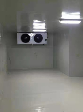 冷库全套设备定制生鲜水果冷藏保鲜库农业商用大型速冻冰库冷冻库