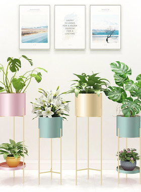 轻奢铁艺落地式花架阳台室内客厅多层吊兰绿萝花盆摆件