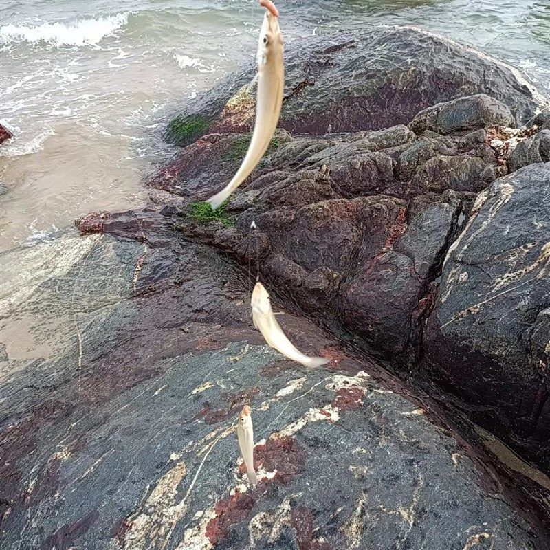 [U ]款远投丸世6号5钩沙尖串钩滩钓滑鱼钓组防缠远米鲫沙梭黄骨鱼,淘宝优惠券,粉丝福利购,淘宝优惠卷