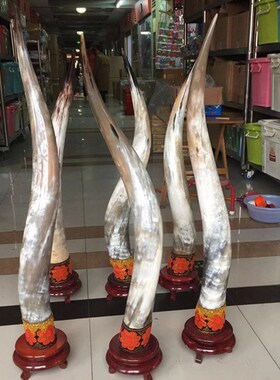 精品非洲牛角摆件创意客厅家居酒店装艺镇店饭宅工饰品桌面办公室