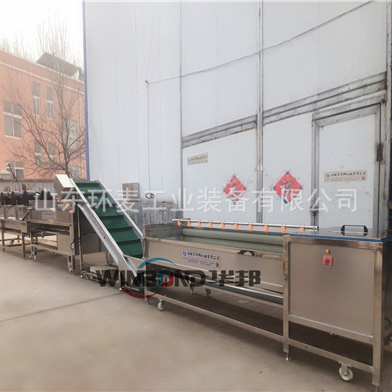 土豆红薯去泥清洗机 蛏子蛤蜊海鲜去沙清洗设备 毛辊清洗机,淘宝优惠券,粉丝福利购,淘宝优惠卷