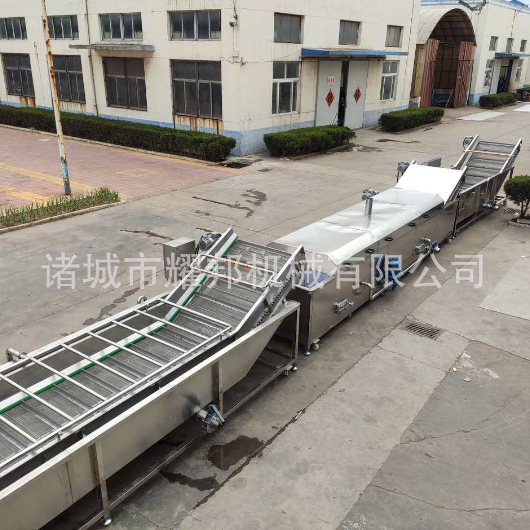 山野菜桑芽菜蔬菜杀青漂烫机 海鲜预煮流水线 食用菌清洗蒸煮机,淘宝优惠券,粉丝福利购,淘宝优惠卷