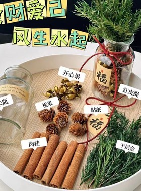 肉桂生财瓶摆件招财花瓶diy材料客财厅位乔迁新居搬电视柜办公室