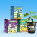 不活包赔！桌面绿植蔬菜6件套