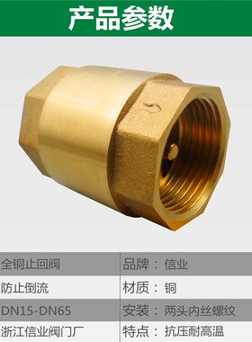 全铜止回阀单向阀黄铜逆止阀水表止逆阀水泵防倒流阀门水管逆水阀
