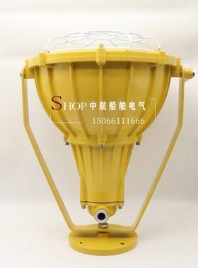 海星海事CCS船用防爆投光灯CFT1-N铝质网罩IP56白炽灯自整流汞灯