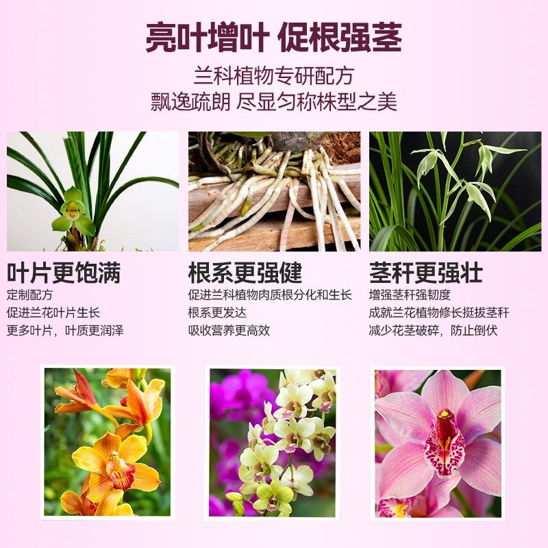 棵蝴蝶兰专用肥营养液石斛兰文心兰卡特兰花植物盆栽肥料,淘宝优惠券,粉丝福利购,淘宝优惠卷