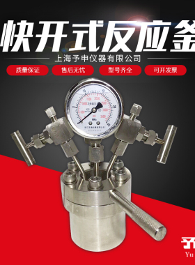 定制快开式高温高压反应釜/法兰式高压釜/压力表数显反应釜加压釜