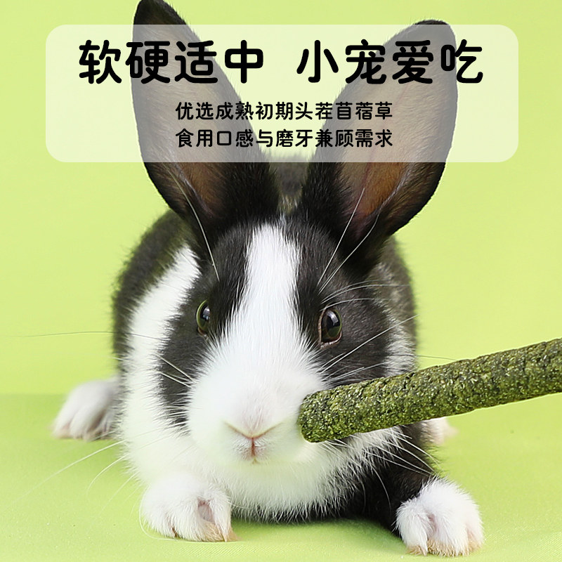 星诺苜蓿草棒棍兔子吃的小零食营养兔兔龙猫豚鼠荷兰猪磨牙棒瓶装,淘宝优惠券,粉丝福利购,淘宝优惠卷