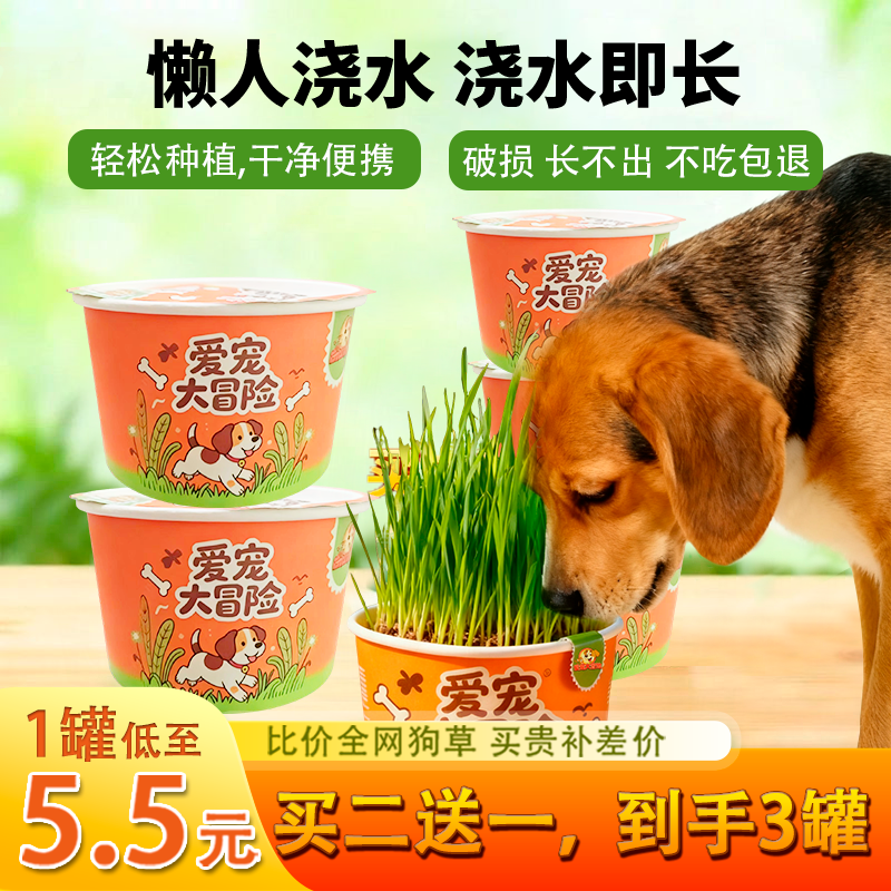 爱宠大冒险猫草狗草专用盆栽种植懒人无土水培天然化毛排毛助消化