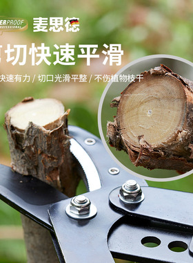 麦思德修枝剪果树剪高枝剪 树枝剪 粗枝花园伸缩剪樱桃剪 园艺剪