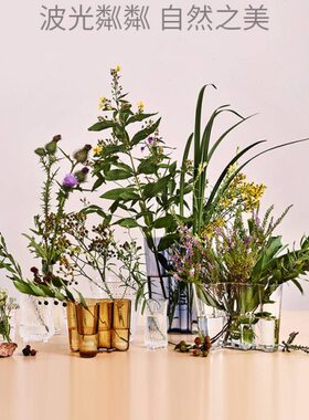 Iittala芬兰伊塔拉传奇湖泊创意玻璃花瓶手工装饰摆件乔迁礼物