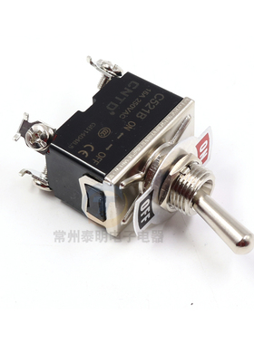 cntd昌得钮子开关4脚2档摇臂电源开关15A双极单投拨动开关C521B
