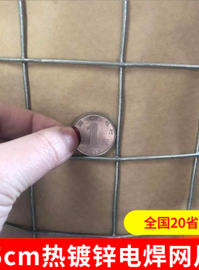 5厘米网孔钢丝网热镀锌铁丝网围栏养鸡防护网栅栏围墙网隔离铁网
