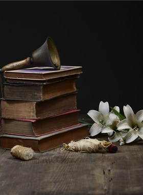 复古外文硬皮精装老旧古董书咖啡店饰品拍摄陈列S装饰复古摄影道