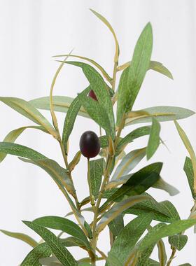 仿真绿植橄榄树室内家居摆件客厅装饰橱窗摆件仿真橄榄树