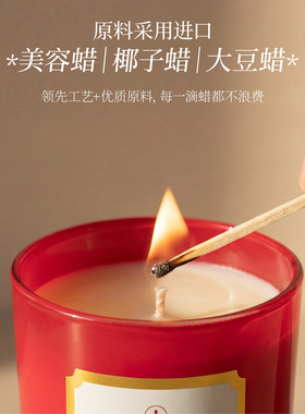 TBS香薰蜡烛家用室内助眠熏香黑莓琥珀香氛蜡烛摆件持久留香礼物