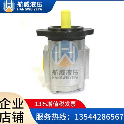 供应注塑机数控冲床折弯机油泵EIPC3-032RK/RB23-10德国艾可勒泵 - 图3