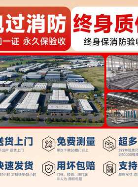 广东防火门甲级钢制防火门乙级钢质隔热防火门窗丙级安全门消防门