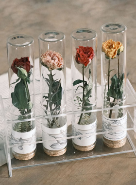 玻璃试管干花手作样板间书房桌面C摆件现代实验风植物标本道具礼