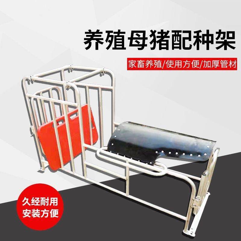 母猪配种架升降猪用配种栏矮脚配种器热镀锌落地配种架采精支架,淘宝优惠券,粉丝福利购,淘宝优惠卷