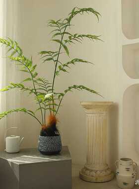 仿真绿植金星蕨楼梯角落造景假绿植金丝猴蕨室内软装大型落地装饰