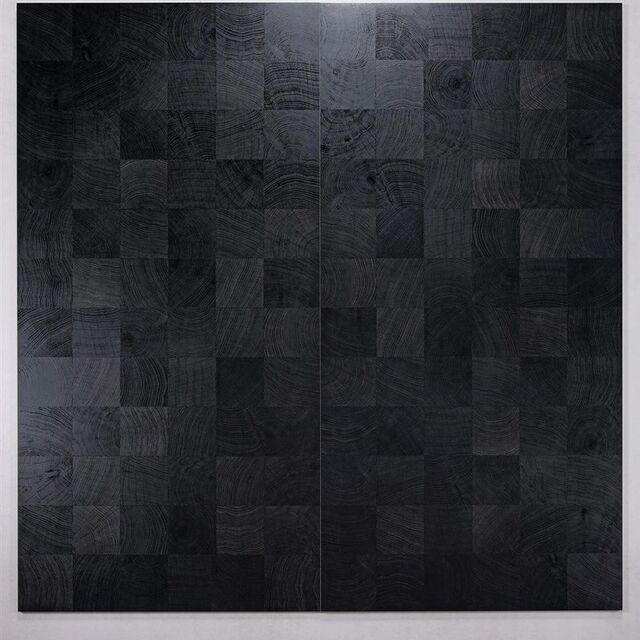 Ebony ebony black g whole body wood grain tiles floor tiles non-slip balcony imitation wood floor tiles bedroom wall tiles 60x12