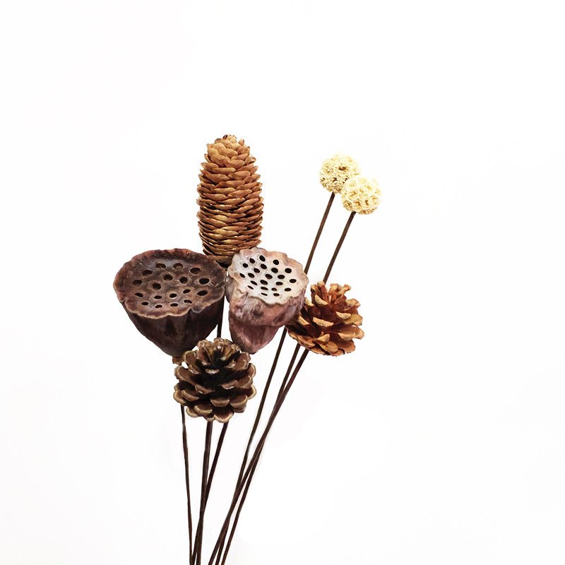 手工干花莲花莲蓬 干果松u果路路通 佛系装饰禅意花束手工制作创,淘宝优惠券,粉丝福利购,淘宝优惠卷