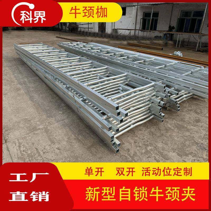 牛劲枷枷牛群固定用具争食抢食解决方法兽用拴牛机械奶牛防争食