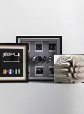 相机装成饰画艺术家n裱装NWF画立体画品样影板间书房挂画居摄主题