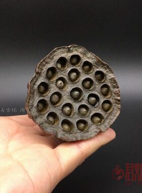 复古包浆实心铜莲蓬摆件铜荷花莲子莲心铜艺微雕莲藕茶宠精工铜器