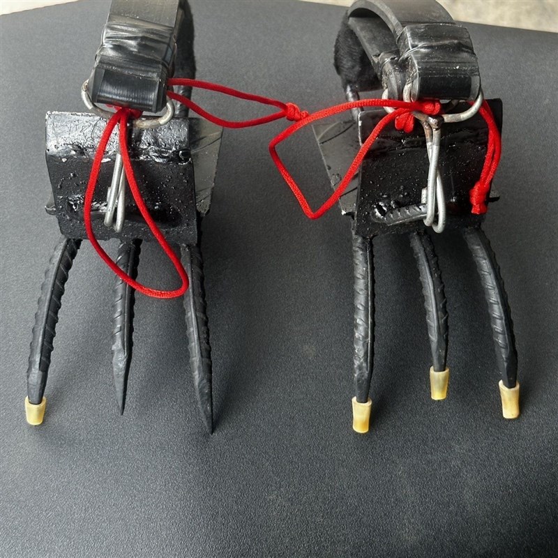 神器脚扎子猫爪新款爬树六爪猫爪上树螺纹钢专用工具淬火加宽防滑 - 图1