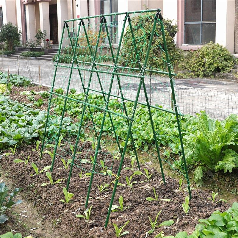 园艺花架庭院支撑杆户外植物豆角黄瓜牵L引攀爬架铁艺固定爬藤架,淘宝优惠券,粉丝福利购,淘宝优惠卷