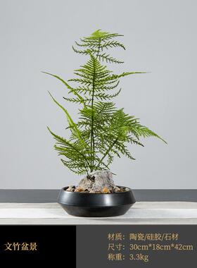 新中式仿真文竹植物盆栽微景观造景花几书房茶艺茶室案头绿植摆件