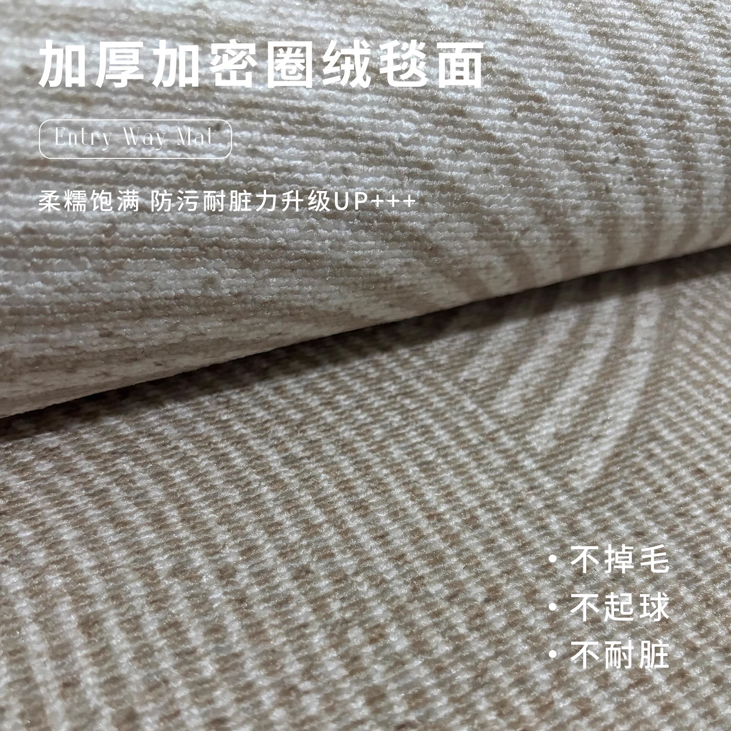 德国入户门地垫进门垫防滑侘寂风家用地毯客厅定制可裁剪玄关脚垫 - 图3