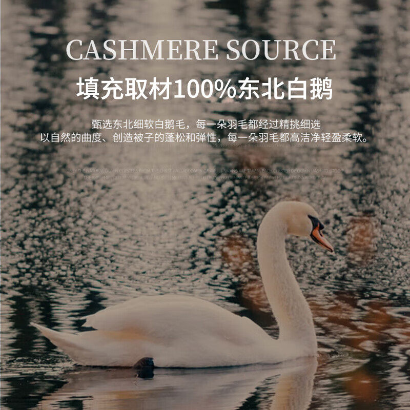官方旗舰店正品鹅绒被95白鹅绒被芯抗菌保暖羽绒秋冬被被子羽绒被,淘宝优惠券,粉丝福利购,淘宝优惠卷
